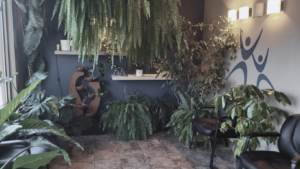 Plant-filled foyer at Erindale Chiropractic